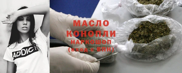 молекула духа Новозыбков