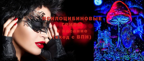 спайс Алзамай
