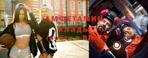молекула духа Новозыбков