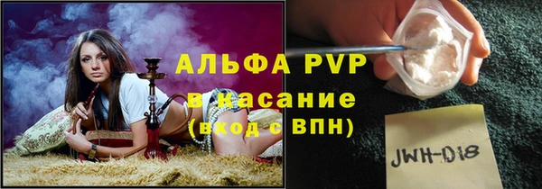 спайс Алзамай