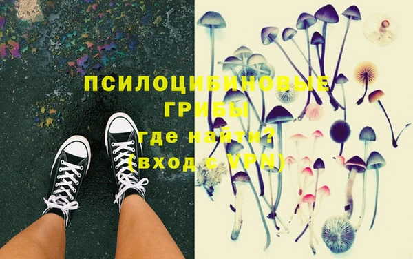 твердый Алексеевка