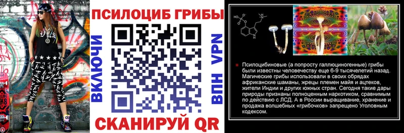 Галлюциногенные грибы Magic Shrooms наркотики Владивосток