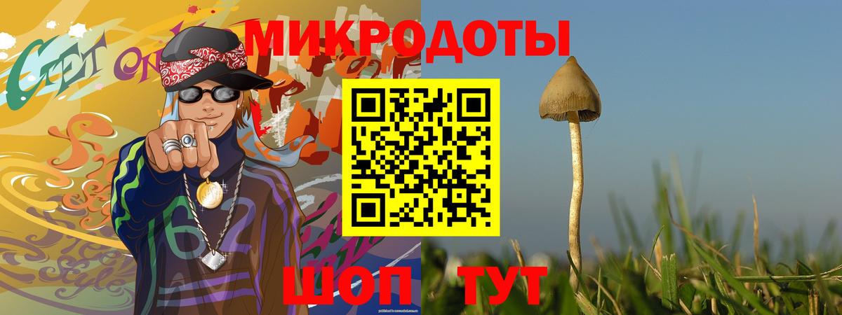 Владивосток  Псилоцибиновые грибы Psilocybe  Псилоцибиновые грибы GOLDEN TEACHER  Вход с VPN 